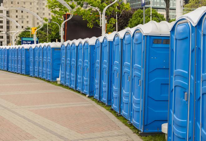 hygienic portable restrooms lined up at a music festival, providing comfort and convenience for attendees in Larksville